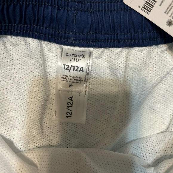 NWT Carter’s Boy’s Dinosaur Lined Multi Colored Swim Trunks - Size 12 - Picture 4 of 5